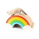 Rainbow Scratch Cat Claw Plate (7)