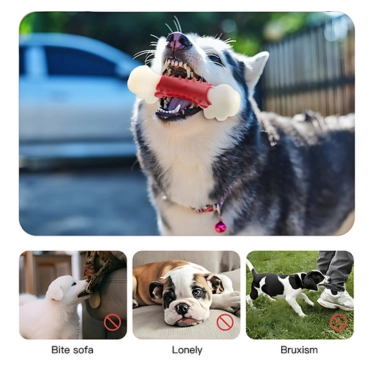 Rubber Toy for Large Dog (5)