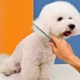 Stainless Steel Pet Hair Grooming Comb (3)