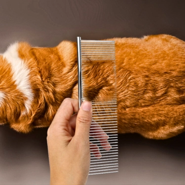 Stainless Steel Pet Hair Grooming Comb (4)