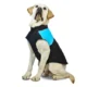 Waterproof Zipper Design Dog Jacket Coat (15)