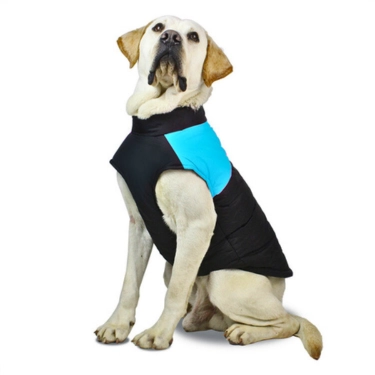 Waterproof Zipper Design Dog Jacket Coat (15)