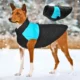 Waterproof Zipper Design Dog Jacket Coat (26)