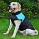 Waterproof Zipper Design Dog Jacket Coat (3)