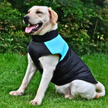 Waterproof Zipper Design Dog Jacket Coat (3)